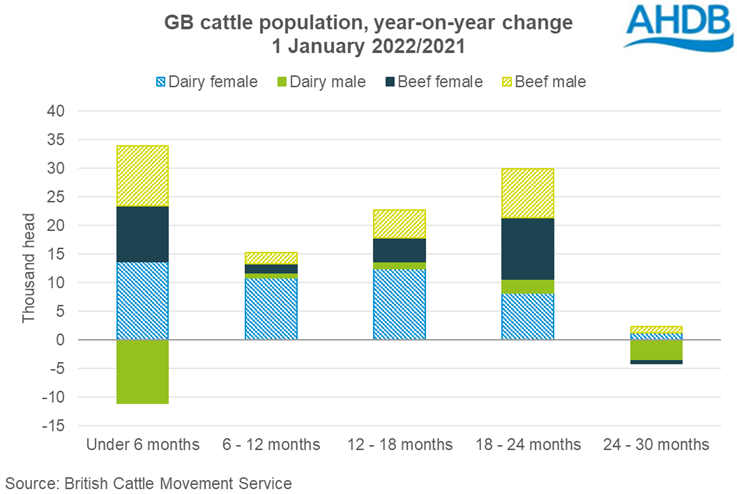 Graph showing the year-on-year change in population of cattle by age band in GB